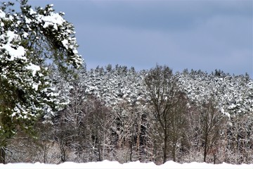 Winterlandschaft