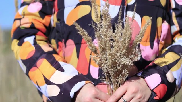 girl in a jacket walks through the field and collects spikelets