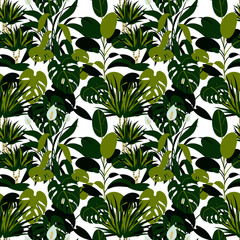 Home plants seamless pattern. Vector illustration. Tropical seamless pattern