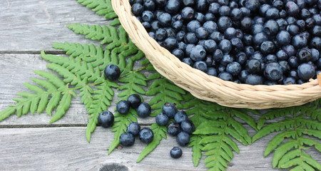 Forest blueberries in the basket, top view.
