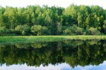 Green trees are reflected in the water. Natural background.