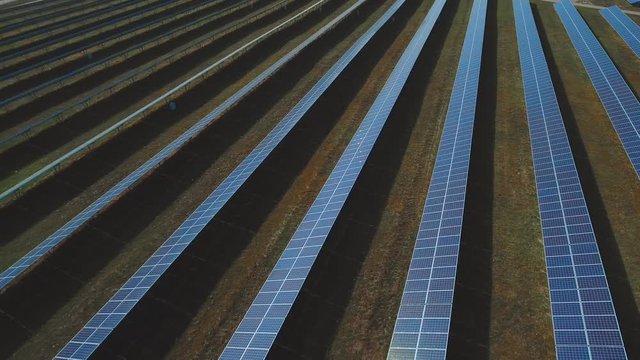 Plant of blue solar panels. Shot on drone