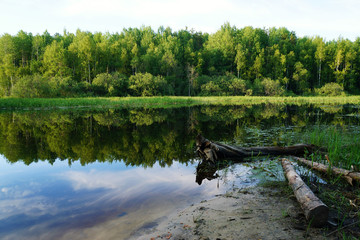  Summer landscape with green trees reflected in the river.