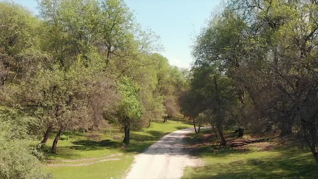 Arslanbob Is a Valley, Mountain Range, and a Large Wild Walnut (Juglans Regia) Forest in Jalal-abad Province of Western Kyrgyzstan. Here, the Trees Can Reach a Height of 30 Meters .Arial Dron Shoot.