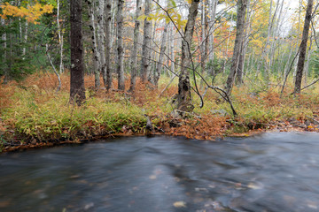 Acadia National Park, ME, USA. 