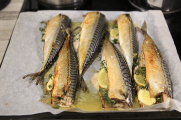 Mackerel baked
