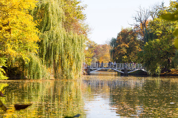 Naklejka premium Lake and trees in autumn park