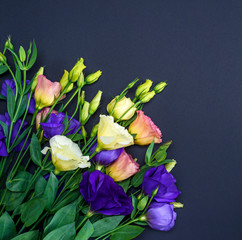 fresh blooming flowers Eustoma Lisianthus
