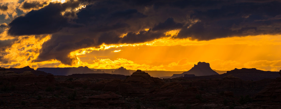 Sunset in the Needles district of Canyonlands in Utah, USA