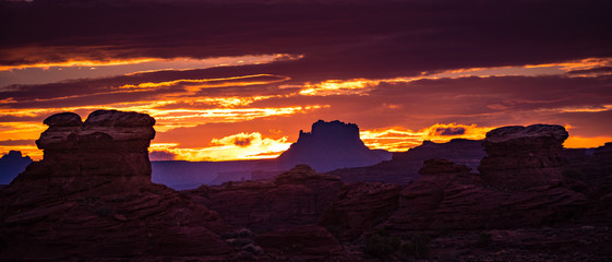 Sunset in the Needles district of Canyonlands in Utah,