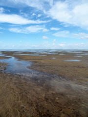 Rund um den Leuchtturm Westerheversand – der Nationalpark Wattenmeer
