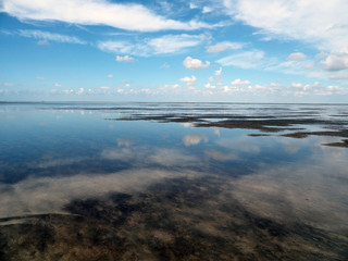 Rund um den Leuchtturm Westerheversand – der Nationalpark Wattenmeer

