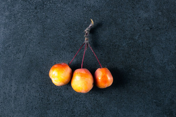 Small autumn red apples on dark texture surface. Close up.