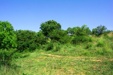 Obraz premium mountain range and blue sky