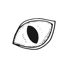 eye with eyelashes sketch icon. isolated object on white background