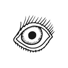 eye with eyelashes sketch icon. isolated object on white background