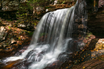 Fototapeta na wymiar Waterfalls for Life