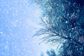 Fototapeta na wymiar Christmas background with fir branches, glow, snowflakes and bokeh.