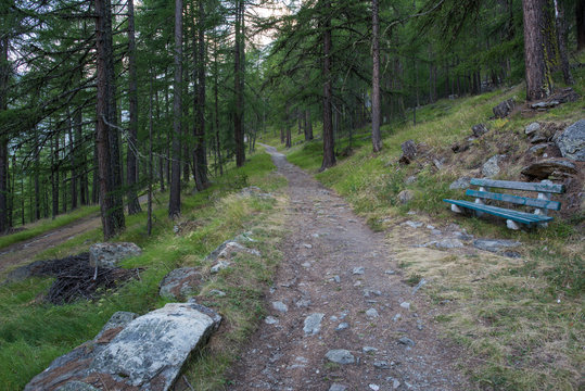 Forest Area At Saas Fee Switzerland In The Evening At Dusk