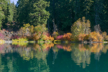 Colortul  reflections of fall foliage in a clear mountain lake with evergreens