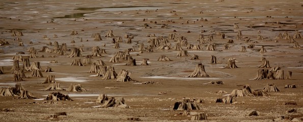 Barren Panoramic