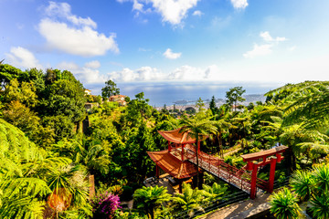 The Botanical Garden - Maderia