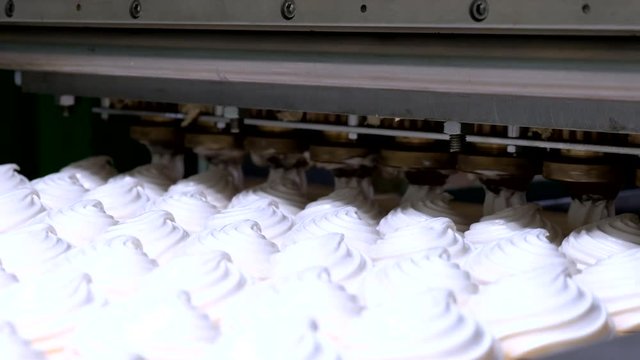 Confectionery factory. Working zephyr and marshmallows production machine