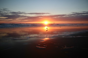 Fototapeta na wymiar vibrants orange beach sunset
