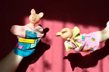 Girl playing with a piglet