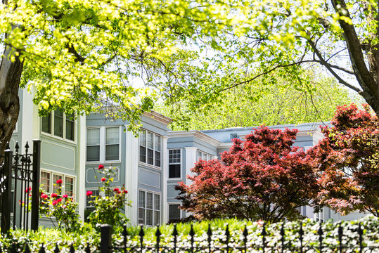 Colorful red Japanese maple trees in spring, springtime in blue apartment flat housing complex of residential neighborhood park, homes, houses with garden in summer, flowers