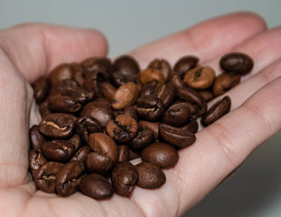 a handful of coffee beans in the palm of your hand