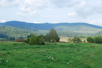 Fototapeta premium пейзаж Карпатских гор