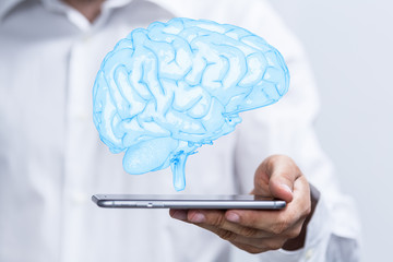 brain
