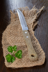 Steakmesser auf einer Holzplatte