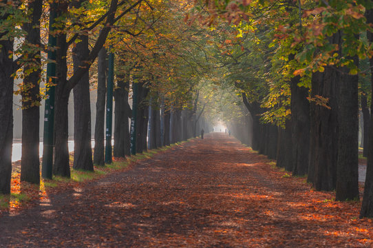 Herbst im Wiener Prater II