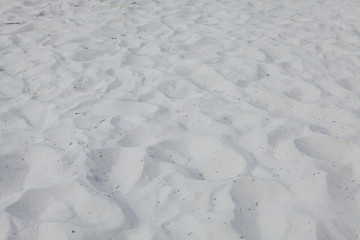 Sand Texture. Dirty sand. Background from fine sand. Dirty sand background