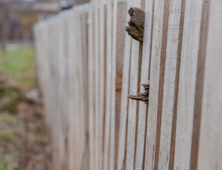 Wooden fence background