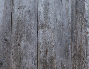 Naklejka premium Background texture of old white painted wooden lining boards wall