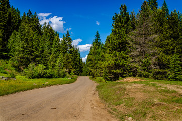 Fototapeta na wymiar Narrow Road in the Colville National Forest, Washington State, USA