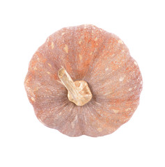 pumpkin isolated on white background