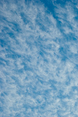Fototapeta na wymiar Blue sky with thin clouds