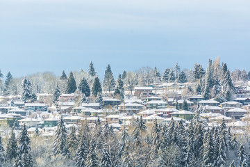 Fototapeta na wymiar Suburban in the snow. Residential houses in snow on bright winter day in Canada