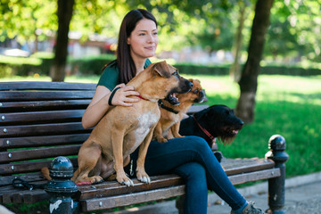 Dog walker sitting on bench and enjoying in park with dogs.