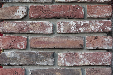 wall