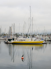 Boats in the harbor - 229844562