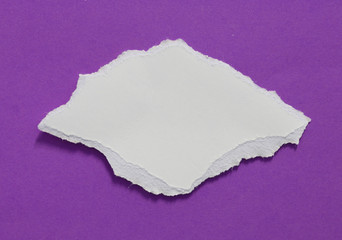 Torn paper background, empty space for text.