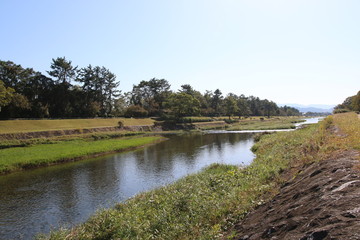 京都ぶらり、秋の鴨川は今日も好日