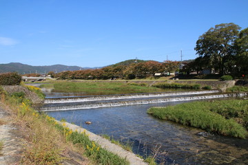 京都ぶらり、秋の鴨川は今日も好日