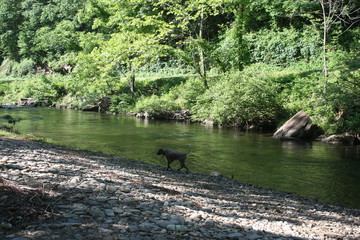 GSP Fishing