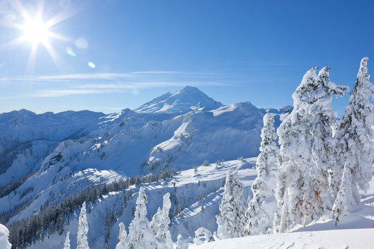 Fototapeta Mount Baker mountain peak summit seen from treeline in winter snow. Beautiful North Cascades National Park Pacific Northwest Washington State nature scene.